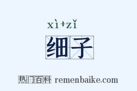细子是什么意思的图片